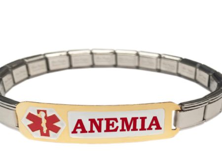 Anemia Medical Alert 9mm Italian Charm Starter Bracelet For Cheap