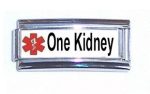 One Kidney Medical Alert Super Link Charm For 9mm Italian charm Bracelets Online Sale