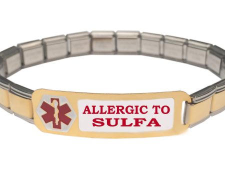 Allergic To Sulfa Medical Alert 9mm Italian Charm Starter Bracelet Supply