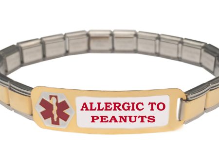 Allergic To Peanuts Medical Alert 9mm Italian Charm Starter Bracelet For Cheap