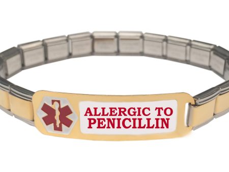 Allergic To Penicillin Medical Alert 9mm Italian Charm Starter Bracelet Hot on Sale