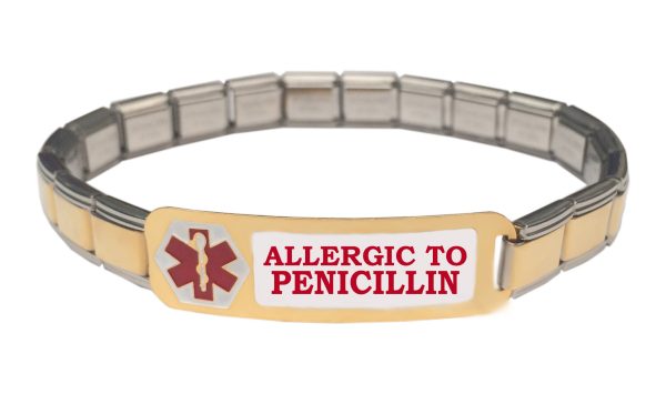 Allergic To Penicillin Medical Alert 9mm Italian Charm Starter Bracelet Hot on Sale