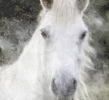 BLUE461 - White Horse Mystique    - 12x18 For Discount